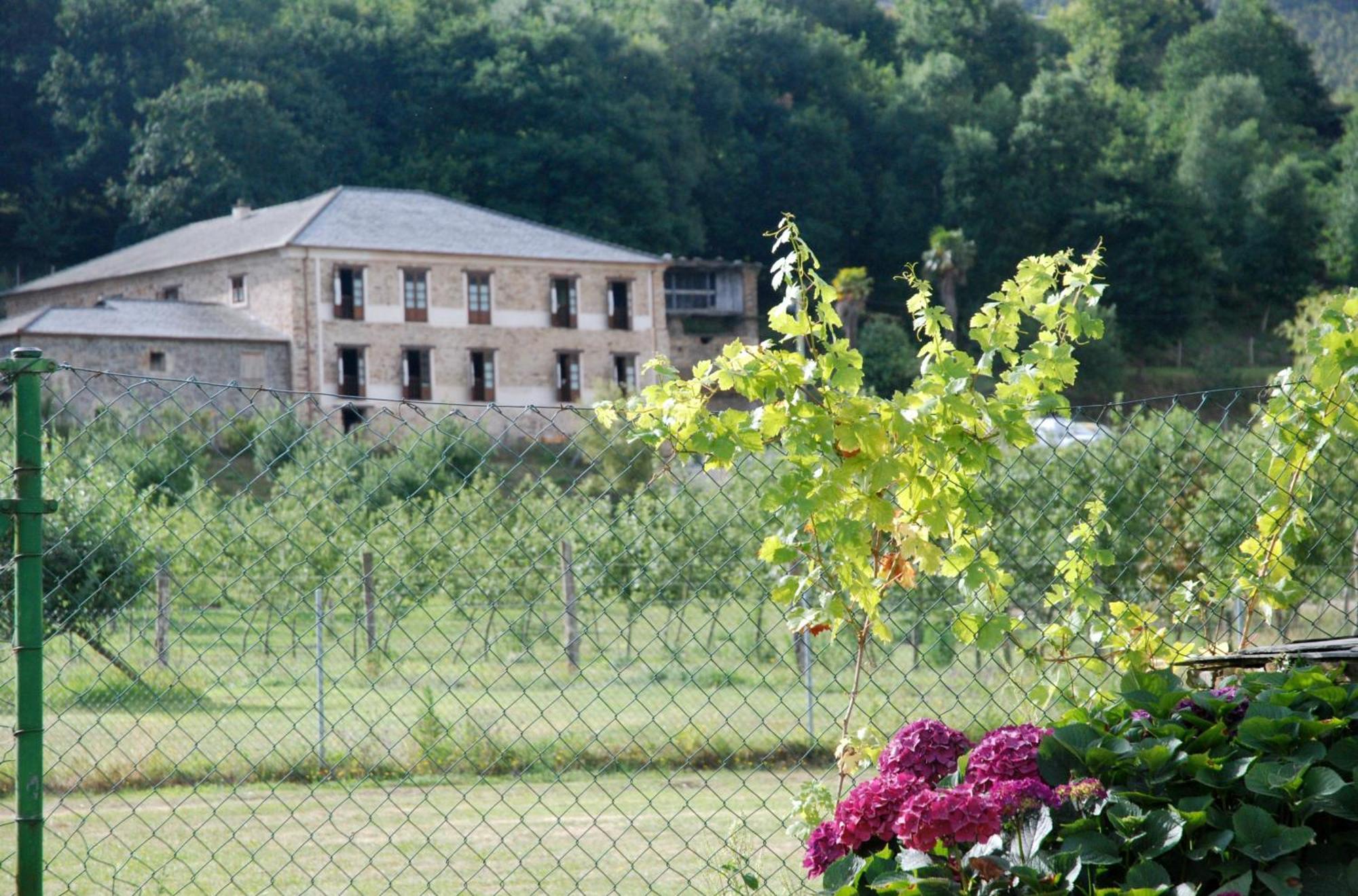 Гостевой дом La Casona De Amaido Сан-Тирсо-де-Абрес Экстерьер фото